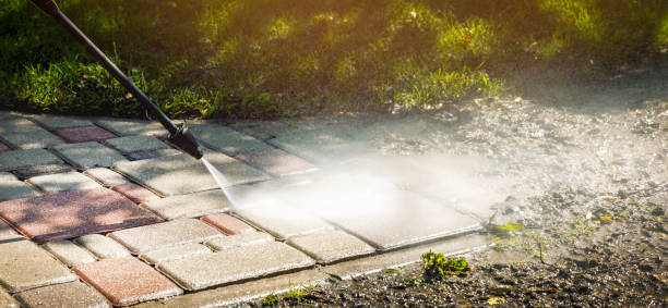 Best Dumpster Area Cleaning  in South Jacksonvle, IL